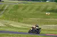 Middle Group Yellow Bikes